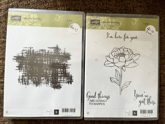 You've Got This Stamp Set