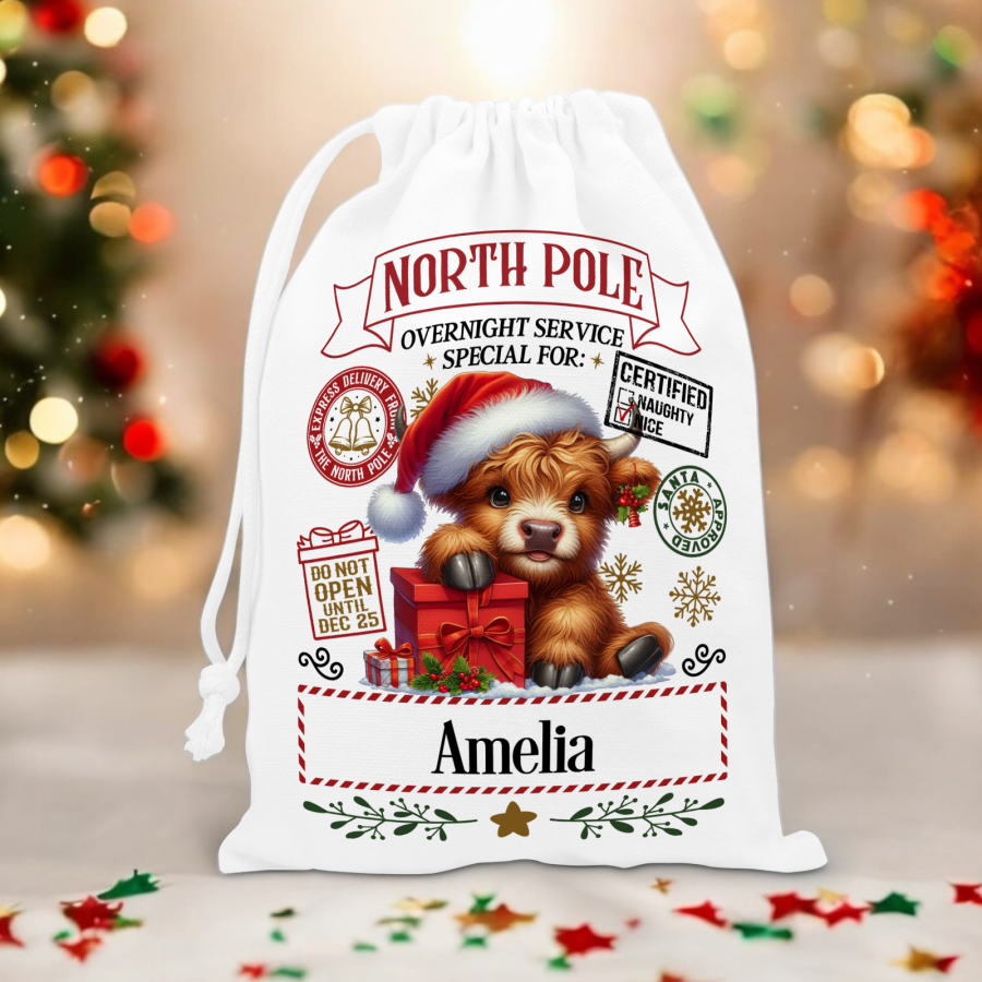 Personalised Drawstring Santa Sack